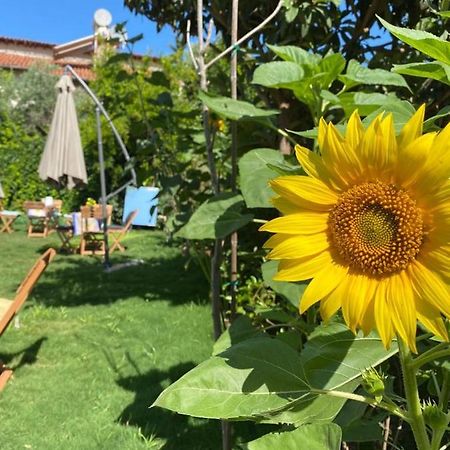 Lemon-Ada Butik Otel Kusadasi Luaran gambar