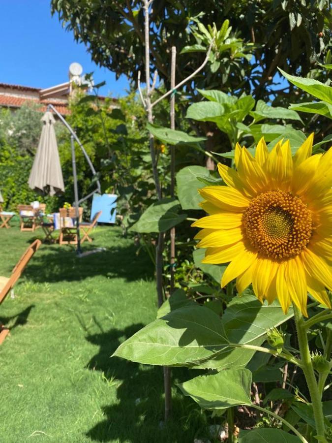 Lemon-Ada Butik Otel Kusadasi Luaran gambar